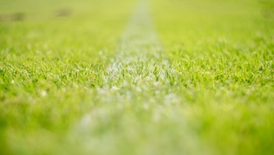 ريال مدريد وليفربول مباشر اليوممواجهة أسطورية في كرة القدم